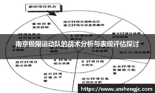 南京极限运动队的战术分析与表现评估探讨